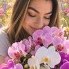 orchid_blooms